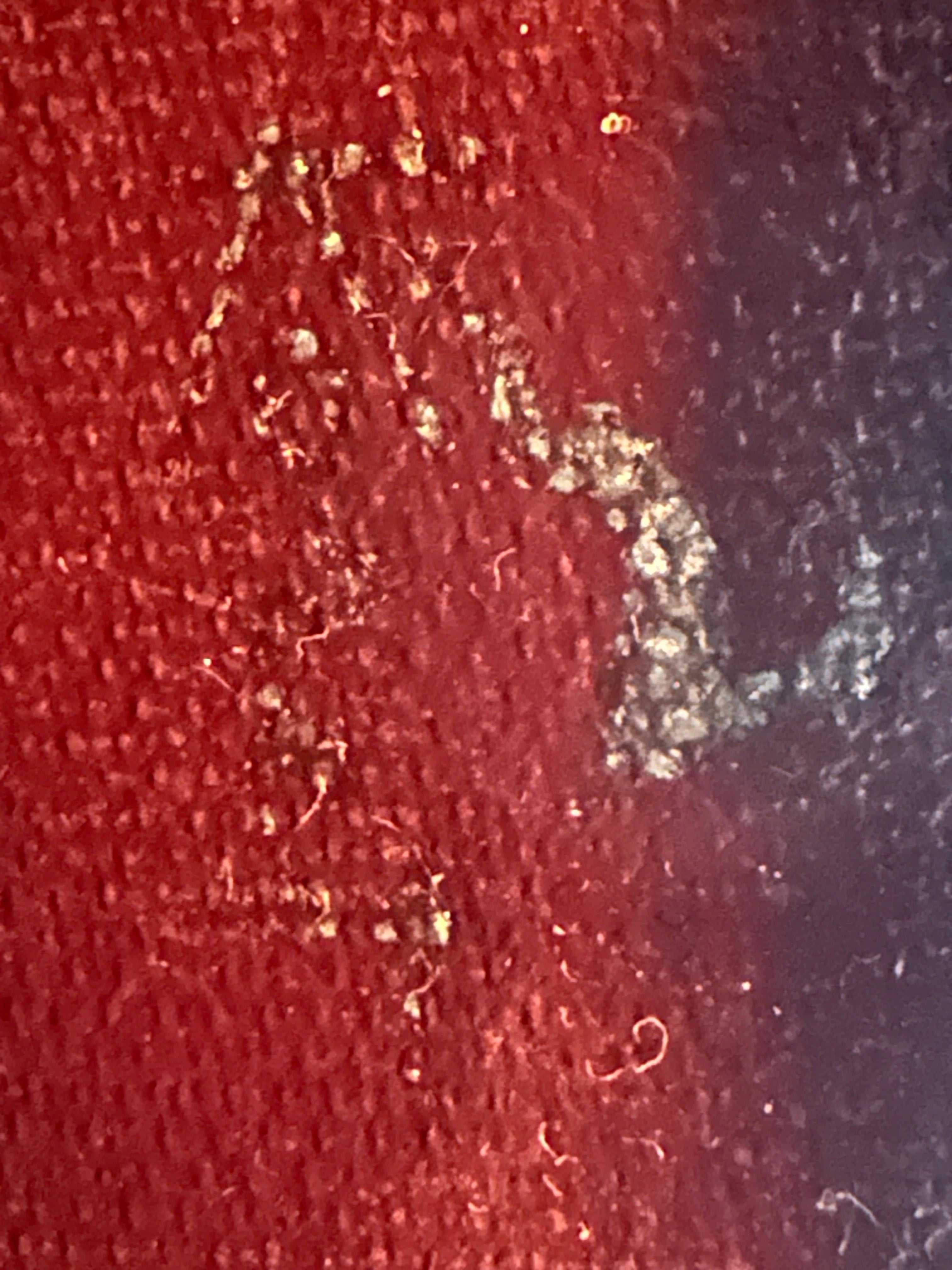 Handbag, Koret leather burgundy bag